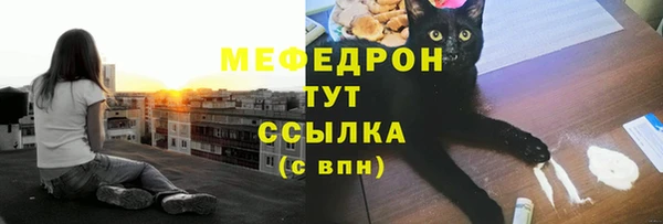 шишки Белокуриха